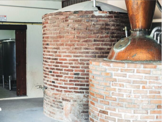 Rio: Burle Marx Site and Cachaça Distillery Private Tour - Tour Duration and Pickup