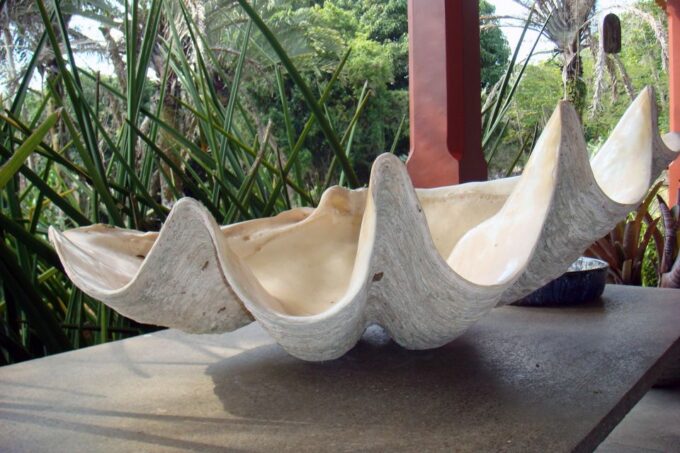 Rio: Burle Marx Site and Cachaça Distillery Private Tour - Frequently Asked Questions