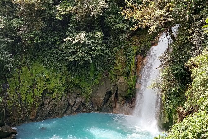 Rio Celeste and Sloth Sanctuary Combo Tour - Ideal for Wildlife Enthusiasts