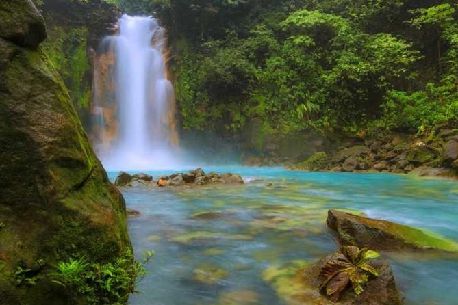 Rio Celeste and Tenorio National Park Hike + Lunch From La Fortuna - Physical Requirements and Accessibility