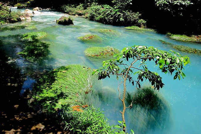 Rio Celeste Full-Day Tour From La Fortuna - Meeting and Pickup Information