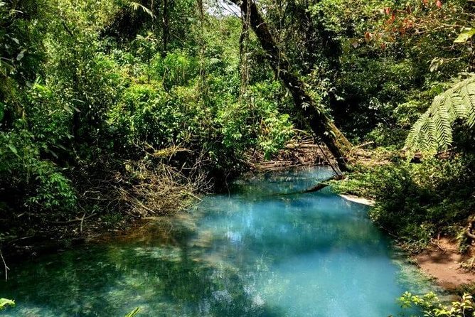 Rio Celeste Full-Day Tour From La Fortuna - Discovering Rio Celeste