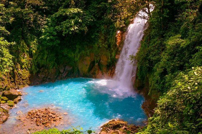 Rio Celeste Hiking From Arenal - National Park Guided Tour - Key Points