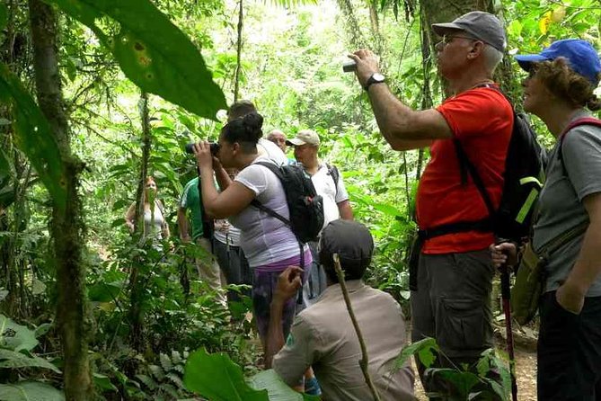 Rio Celeste Hiking From Arenal - National Park Guided Tour - What to Expect