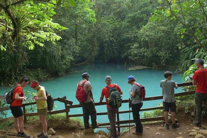 Rio Celeste Hiking From Arenal - National Park Guided Tour - Exploring Diverse Flora and Fauna