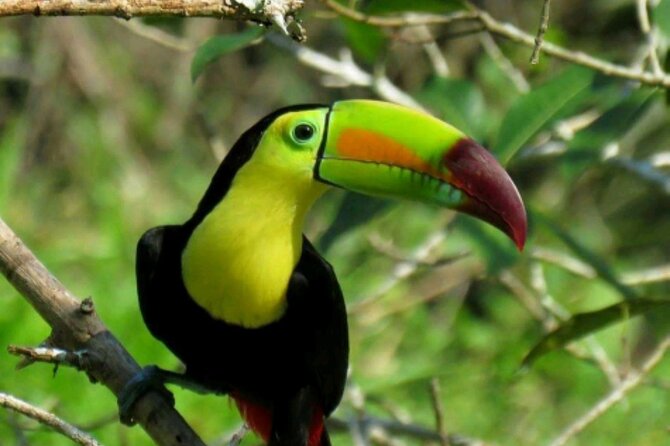 Rio Celeste National Park Hike - Inclusions and Pickup