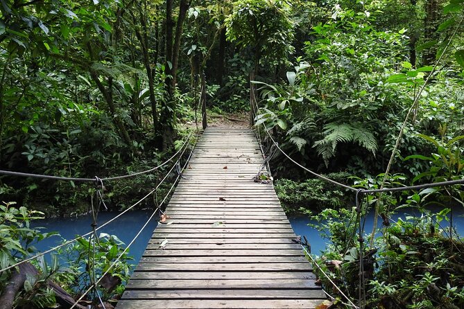 Rio Celeste Nature Hike - Tour Overview