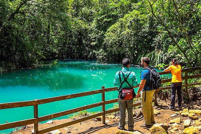 Rio Celeste Nature Hike / From Guanacaste - Rainforest Ecosystem