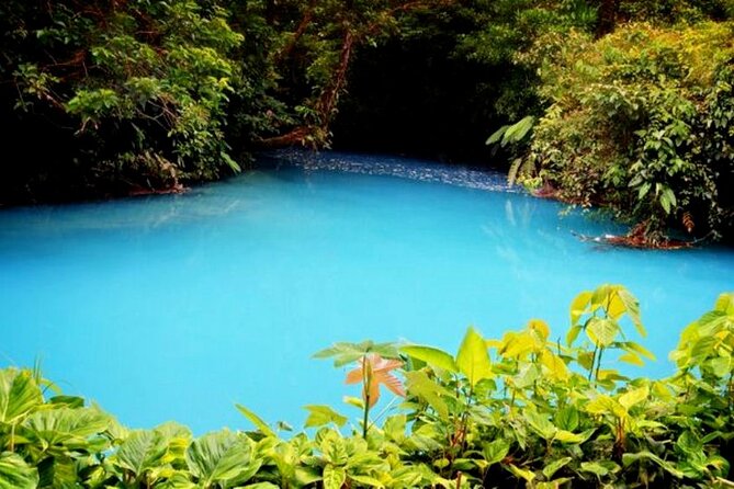 RIO CELESTE RIVER: Tubing+Rainforest+Wildlife+Waterfall+Active Volcano (PRIVATE) - Activities Included