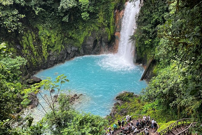 Rio Celeste Waterfall and Sloth Sanctuary Experience - Rainforest Hike and Nature Immersion