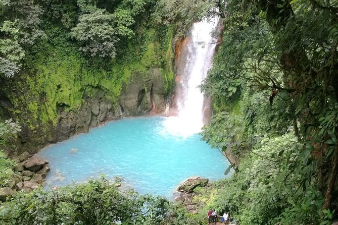 Rio Celeste Waterfall and Sloth Watching Tour - Key Points
