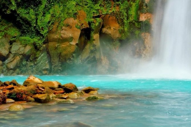 Rio Celeste Waterfall at Tenorio Volcano and Sloth Watching Tour From San Jose - Wildlife Viewing