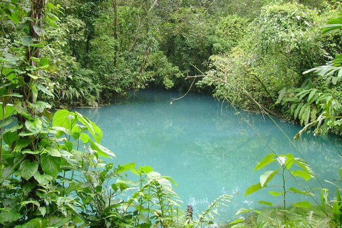 Rio Celeste Waterfall Hike From Arenal - Pricing and Inclusions