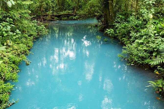 Río Celeste Waterfall - Rainforest Hike, Incl Lunch. - Exploring Tenorio Volcano National Park