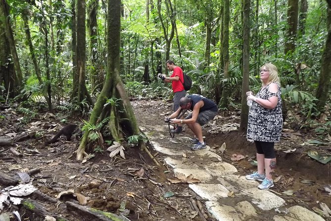 Rio Celeste Waterfall & Sloth Encounter Tour - Tour Overview