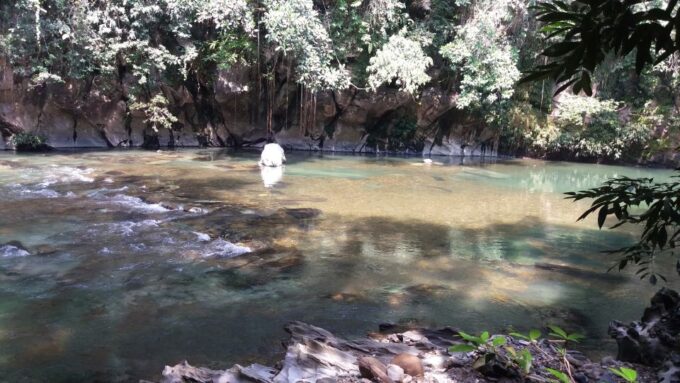 Rio Claro Jungle River: Private Tour From Medellín - Duration and Pricing