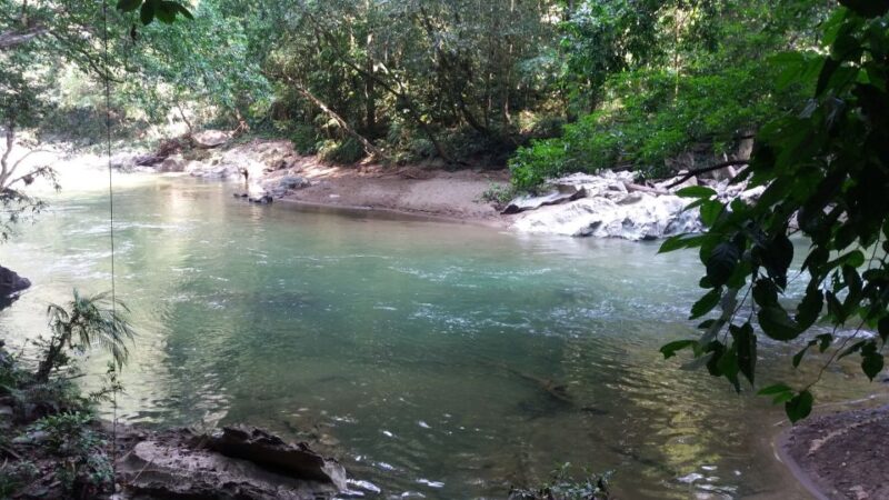 Rio Claro Jungle River: Private Tour From Medellín - Key Points