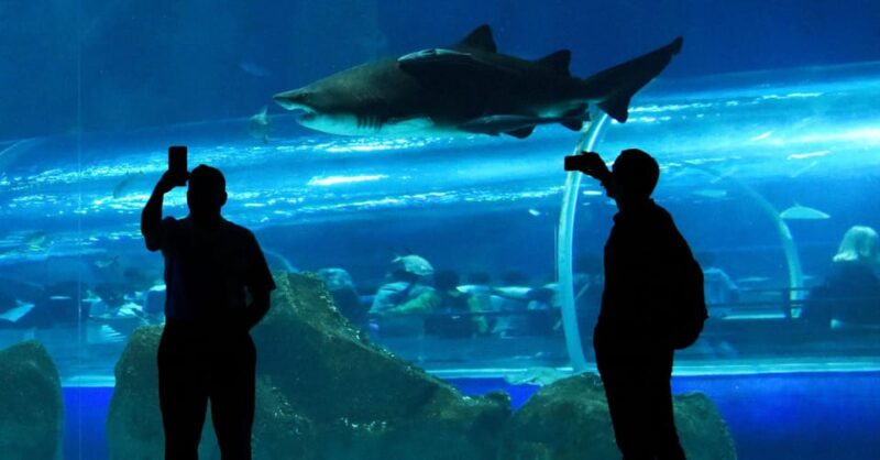 Rio De Janeiro: Aquario and Olympic Boulevard - Inclusion Details