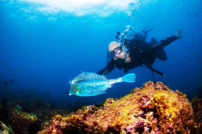 Rio De Janeiro: Arraial Do Cabo Scuba Diving Day Trip - Suitability and Restrictions