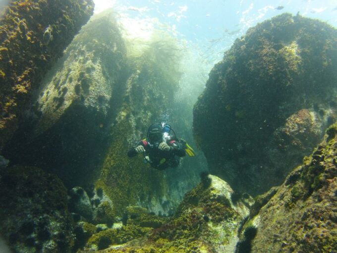 Rio De Janeiro: Arraial Do Cabo Scuba Diving Day Trip - Frequently Asked Questions
