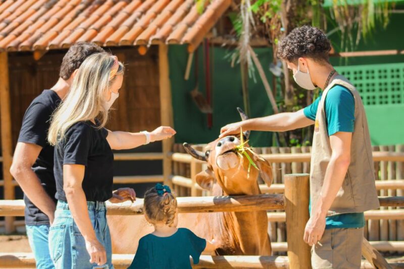 Rio De Janeiro: Biopark of Rio Entry Tickets (Zoo) - Key Points