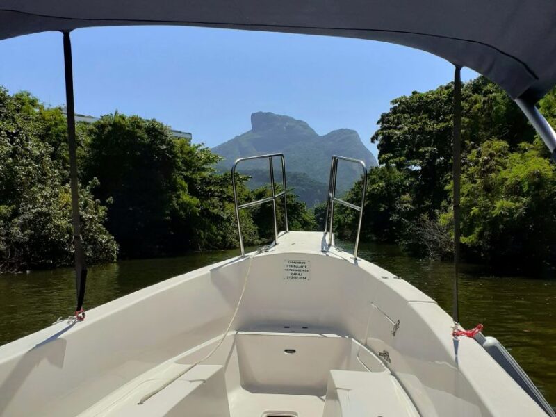 Rio De Janeiro: Boat Tour and Towed Buoy to Gigoia Island - Observing Yellow-bellied Caiman in Mangroves