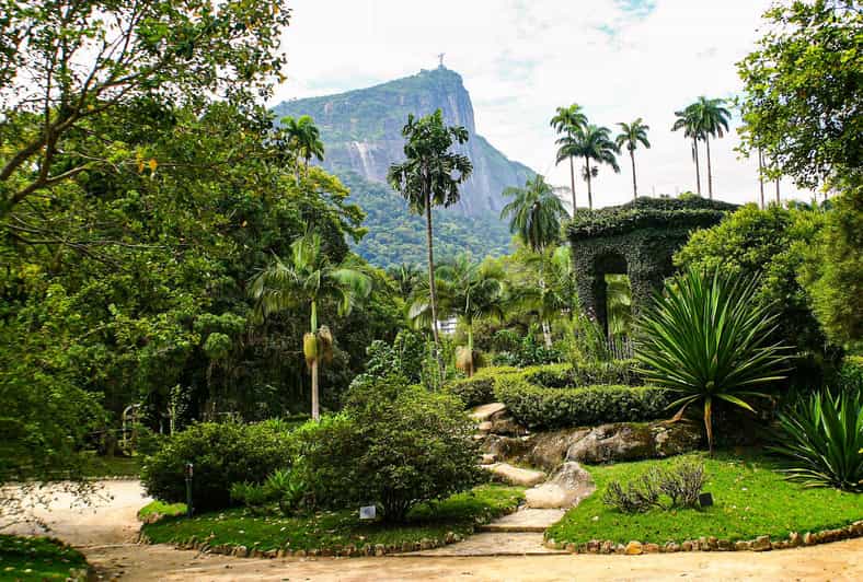 Rio De Janeiro: Botanical Garden and Tijuca Forest Jeep Tour - Key Points