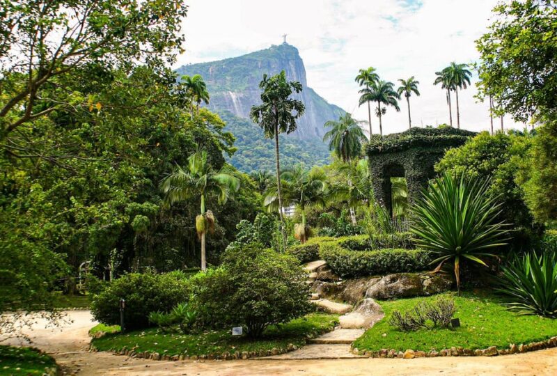 Rio De Janeiro: Botanical Garden and Tijuca Forest Jeep Tour - Botanical Garden Highlights