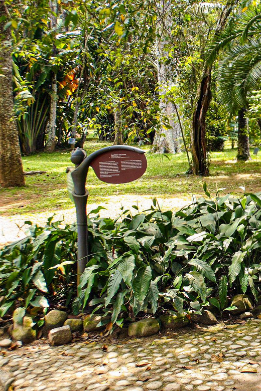 Rio De Janeiro: Botanical Garden and Tijuca Forest Jeep Tour - Tijuca Atlantic Forest Exploration