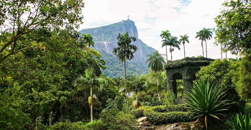 Rio De Janeiro: Botanical Garden and Tijuca Forest Jeep Tour - Pepino Beach Hang Gliders