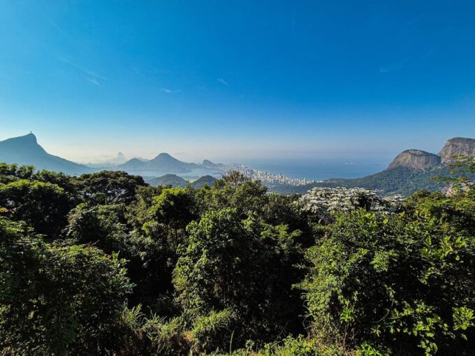 Rio De Janeiro: Botanical Garden and Tijuca Forest Jeep Tour - Botanical Studies and Conservation