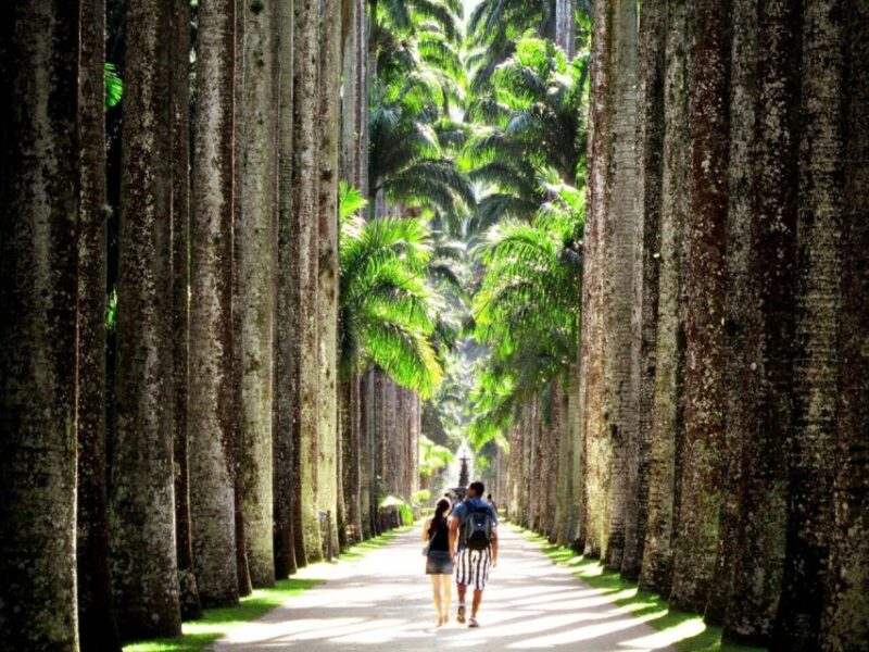 Rio De Janeiro: Botanical Garden Guided Tour & Parque Lage - Key Points