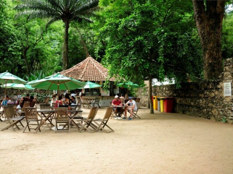 Rio De Janeiro: Botanical Garden Guided Tour & Parque Lage - Botanical Garden History