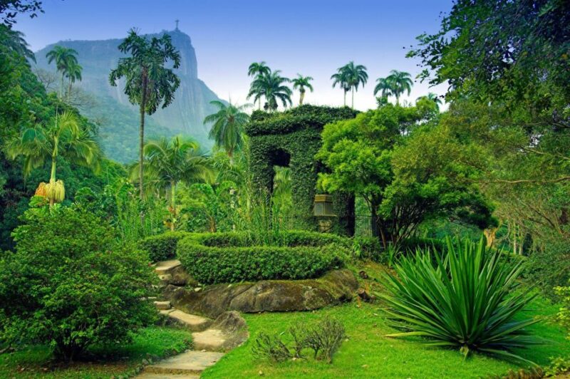 Rio De Janeiro: Botanical Garden Guided Tour & Parque Lage - Native Vegetation Highlights