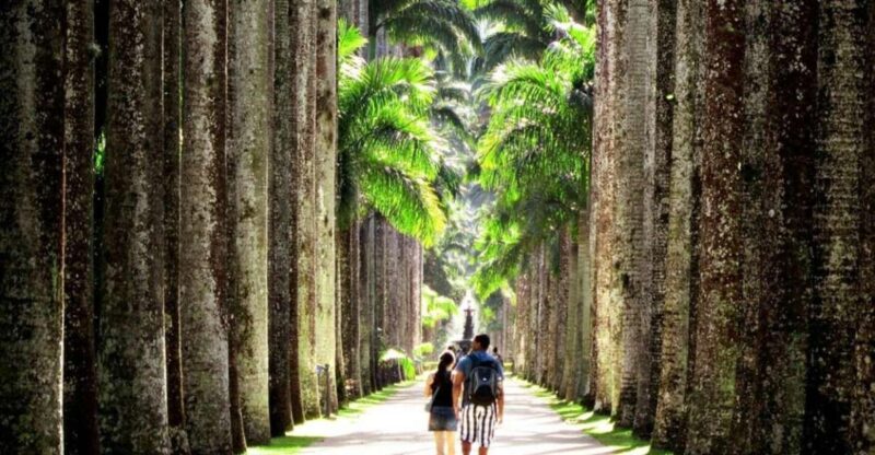 Rio De Janeiro: Botanical Garden Guided Tour & Parque Lage - Historical Buildings and Monuments