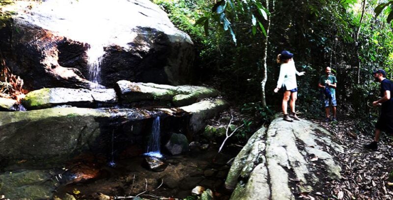 Rio De Janeiro: Christ the Redeemer Guided Hike - Hike Details