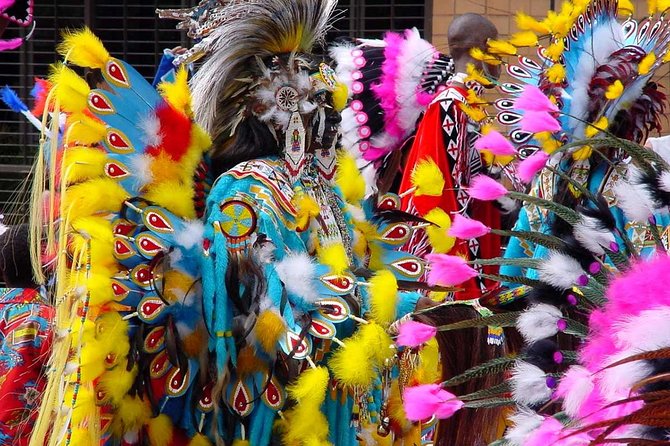Rio De Janeiro Costume Experience in the Carnival Parade & Transfer - Inclusions and Logistics
