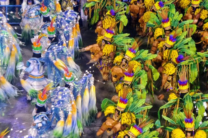 Rio De Janeiro Costume Experience in the Carnival Parade & Transfer - Reviews and Pricing
