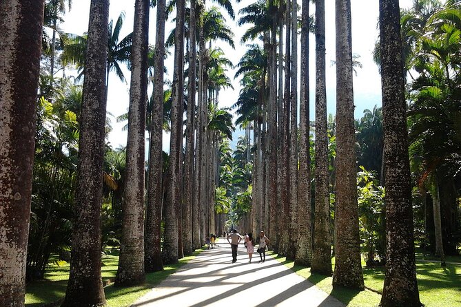 Rio De Janeiro Day Tour With Lunch - Cancellation and Booking