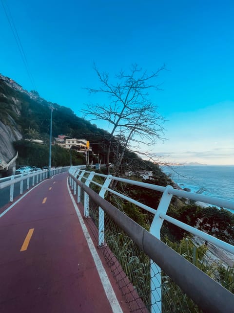 Rio De Janeiro: E-Bike Coast and Lake Tour - Exploring Coastal Neighborhoods