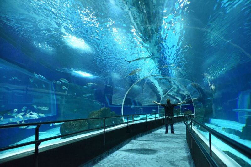 Rio De Janeiro: Marine Aquarium Entry Tickets - Location and Nearby Attractions