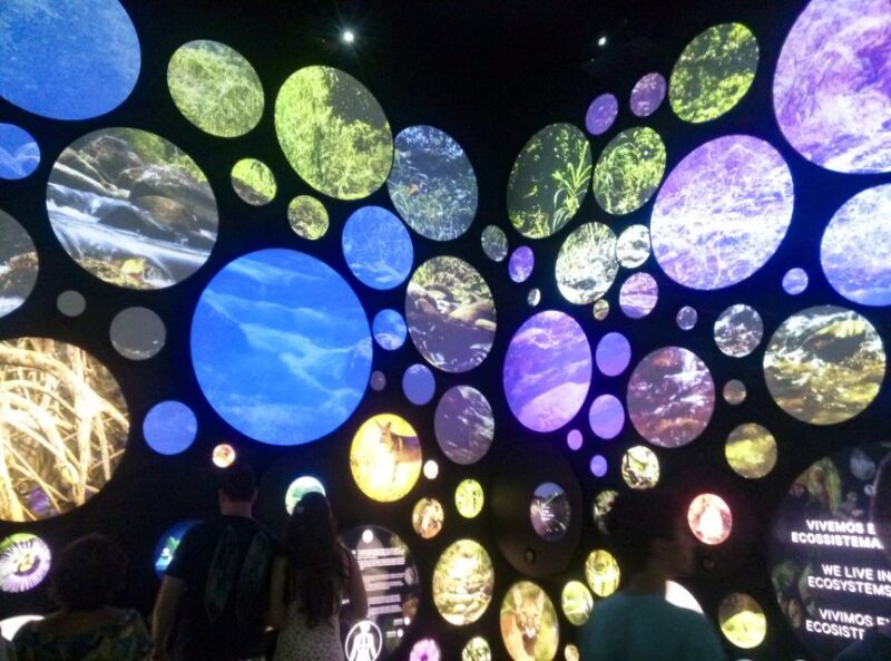 Rio De Janeiro: Museum of Tomorrow and Olympic Boulevard - Pricing and Booking