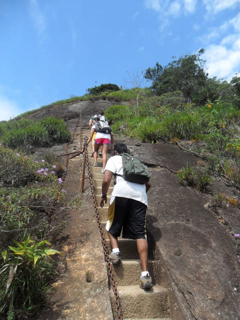 Rio De Janeiro: Pico Da Tijuca Hiking Tour - Included Transportation