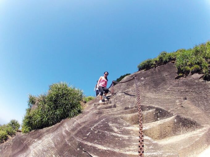 Rio De Janeiro: Pico Da Tijuca Hiking Tour - Weather and Scheduling