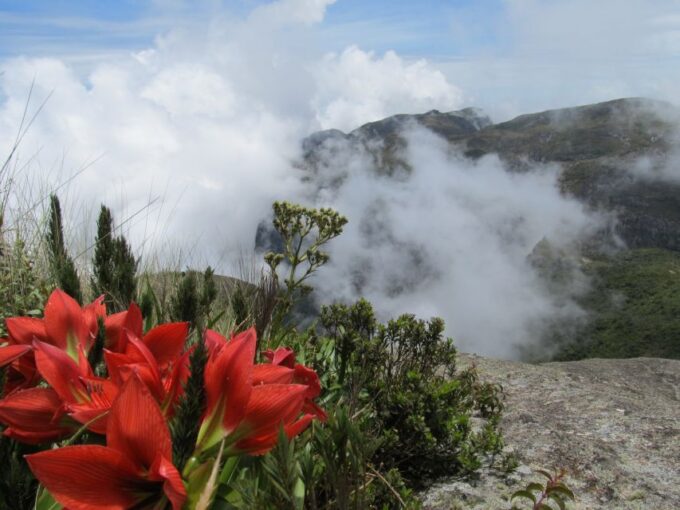 Rio De Janeiro: Serra Dos Órgãos National Park Hiking Tour - Group Size and Language