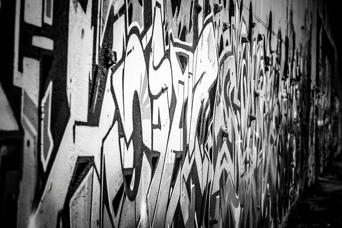 Rio De Janeiro Street Art Private Walking Tour With a Guide - Tour Experience and Accessibility