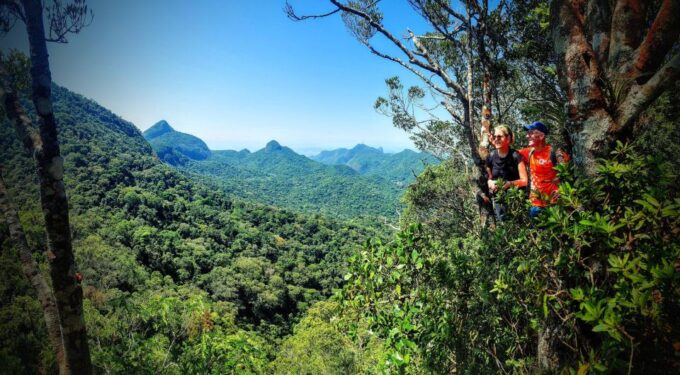 Rio De Janeiro: Tijuca Forest Challenge Hike Full-Day Trip - Transportation and Hotel Pickup/Drop-off