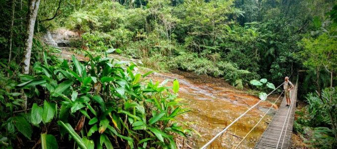 Rio De Janeiro: Tijuca Forest Challenge Hike Full-Day Trip - Recommended Gear and Items to Bring