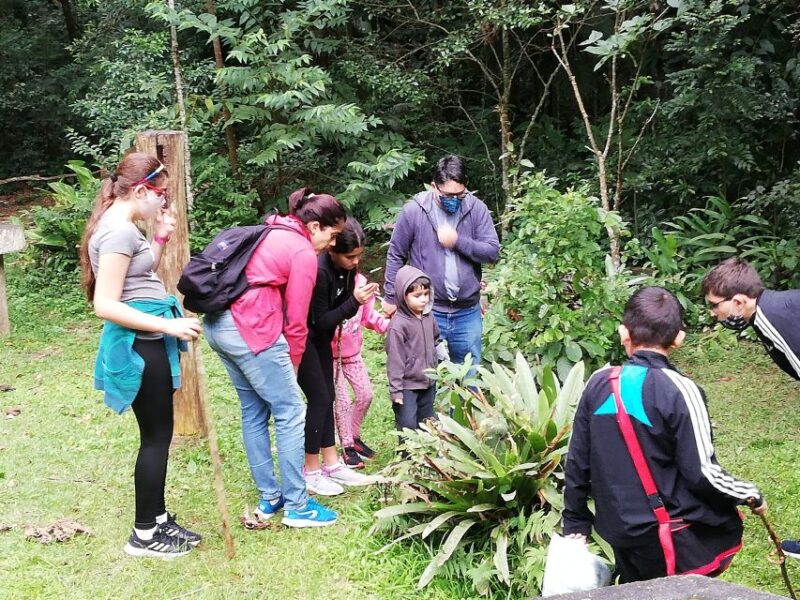 Rio De Janeiro: Tijuca Forest Waterfall of Souls Hike - Hike Highlights
