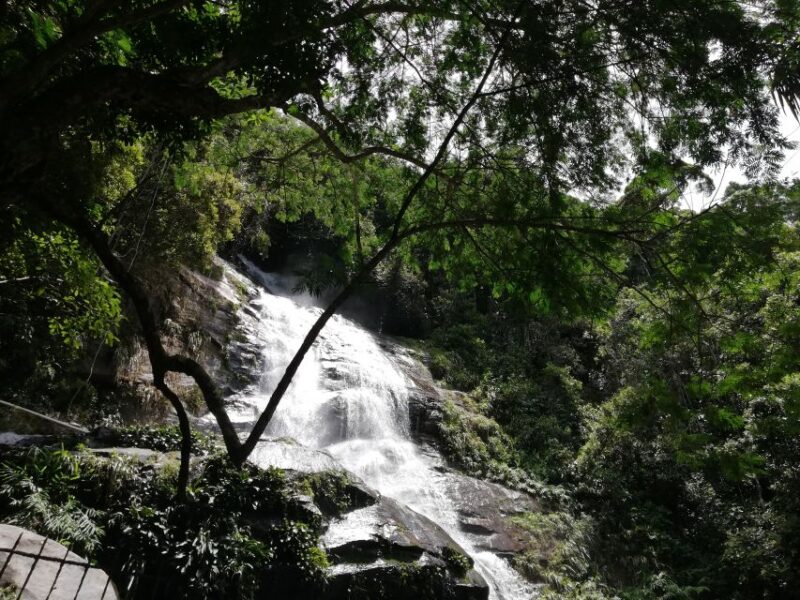 Rio De Janeiro: Tijuca Forest Waterfall of Souls Hike - Meeting Point and Transportation